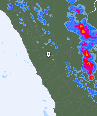 Валежи
