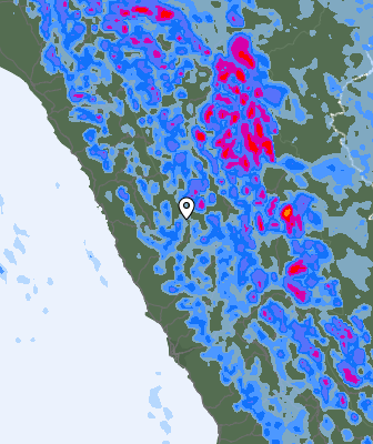Валежи
