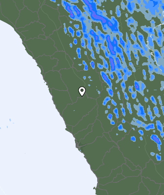 Валежи