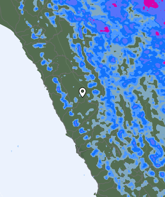Precipitazioni