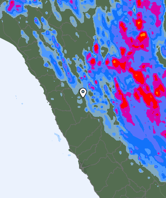 Валежи