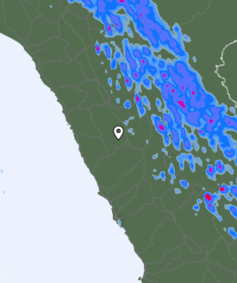 Niederschlagsprognose