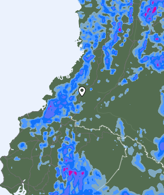 Niederschlagsprognose