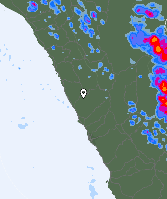 Валежи