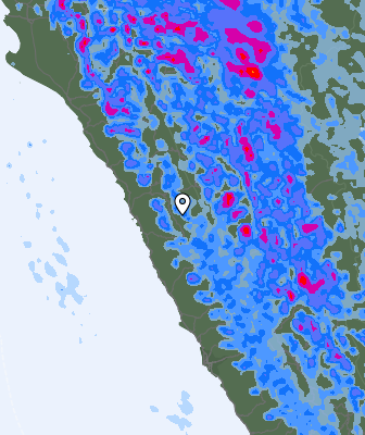 Валежи