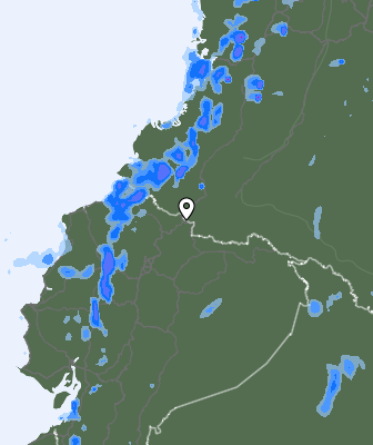 Niederschlagsprognose