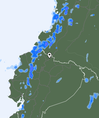 Niederschlagsprognose