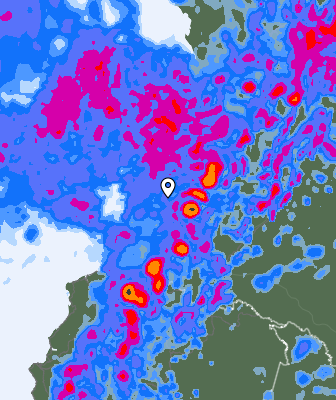 Валежи