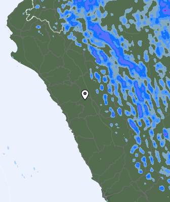 Niederschlagsprognose