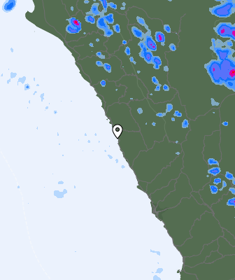 Валежи