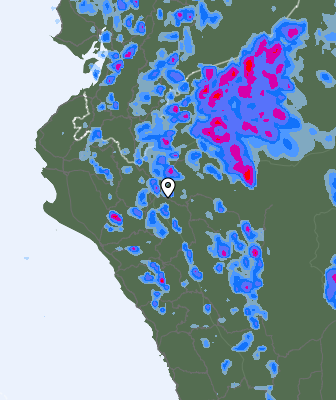 Niederschlagsprognose