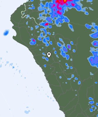 Niederschlagsprognose