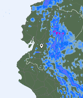 Niederschlagsprognose