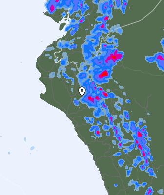 Валежи