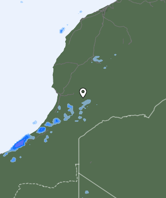 Niederschlagsprognose
