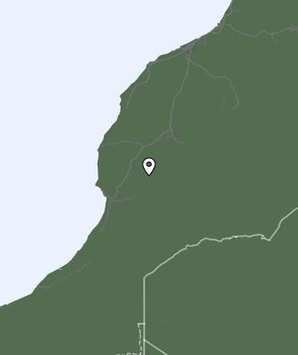 Niederschlagsprognose