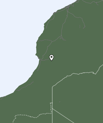 Niederschlagsprognose