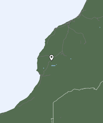 Niederschlagsprognose