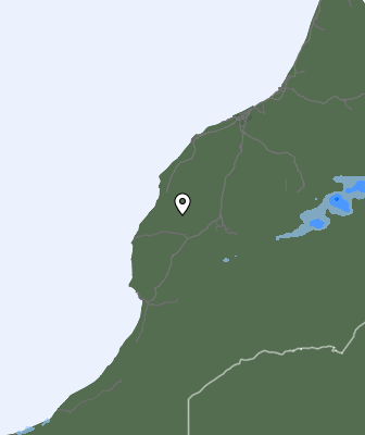 Niederschlagsprognose