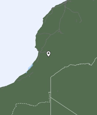 Niederschlagsprognose