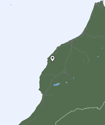 Niederschlagsprognose