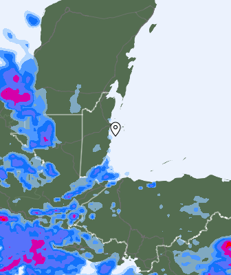 Валежи