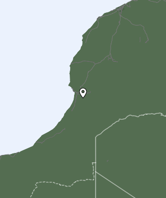 Niederschlagsprognose