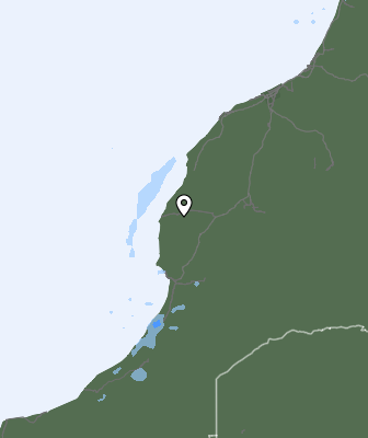 Nedbør