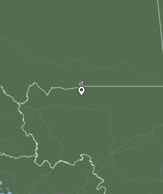 Niederschlagsprognose