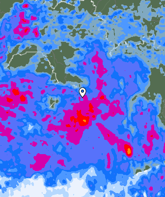 Niederschlagsprognose