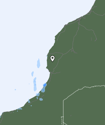 Nedbør