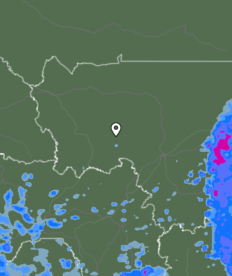 Валежи