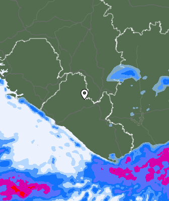 Niederschlagsprognose