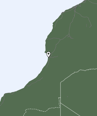 Niederschlagsprognose