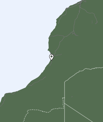 Niederschlagsprognose
