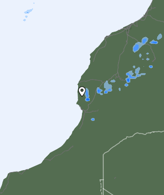 Nedbør
