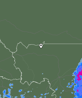 Валежи