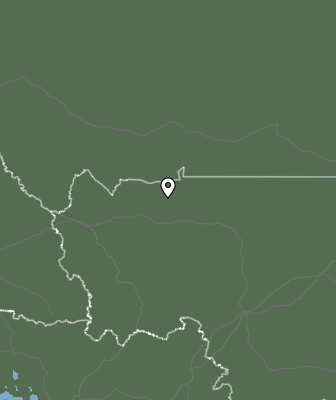 Валежи