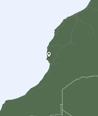 Niederschlagsprognose