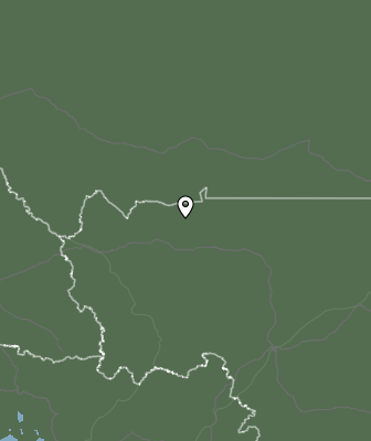 Валежи