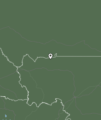 Валежи