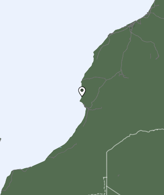 Niederschlagsprognose