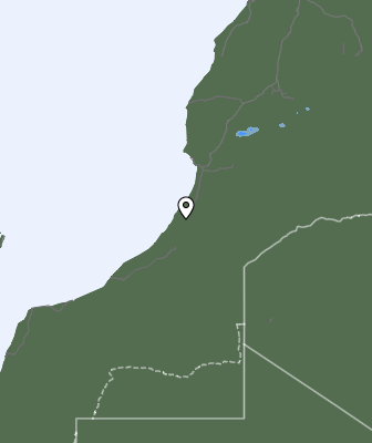 Niederschlagsprognose