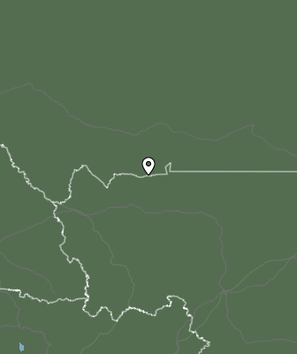 Валежи