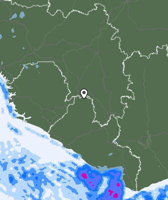 Niederschlagsprognose
