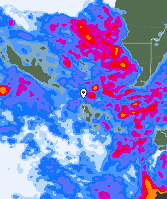 Niederschlagsprognose