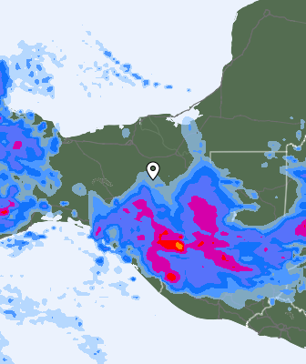 Niederschlagsprognose