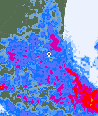 Niederschlagsprognose