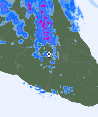Precipitazioni