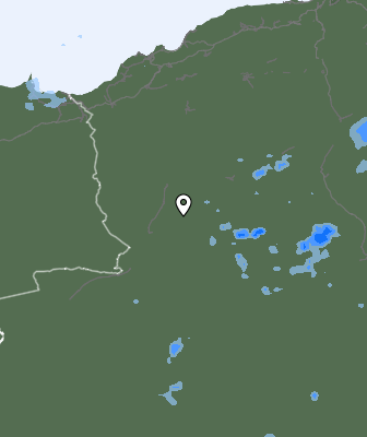 Валежи
